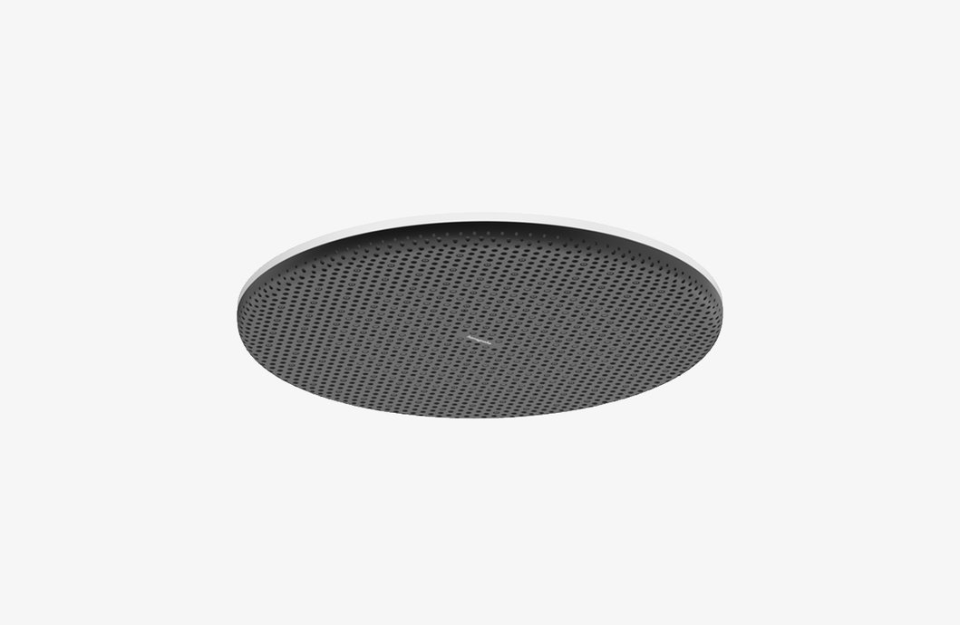 Douche de tête Raindance Alive S 300 1jet