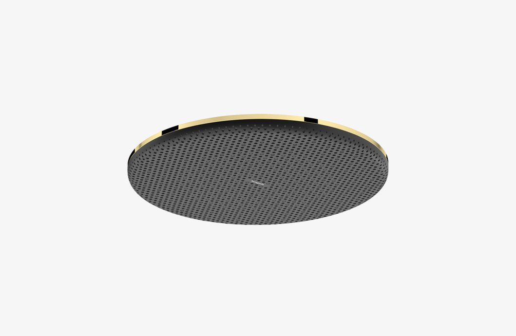 Douche de tête Raindance Alive S 300 1jet