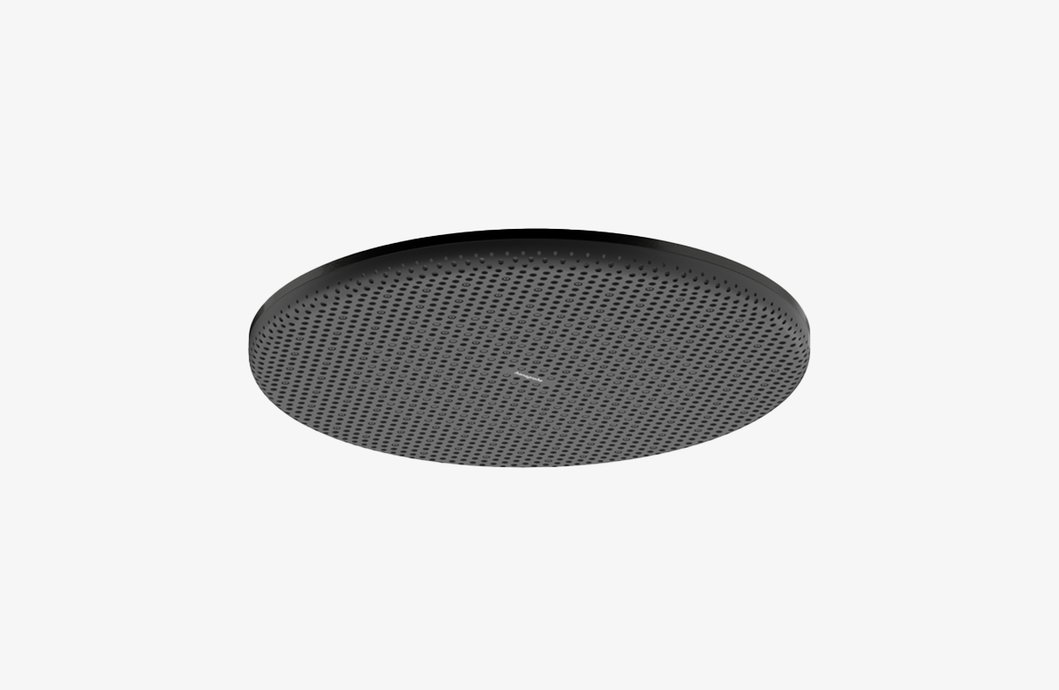 Douche de tête Raindance Alive S 300 1jet