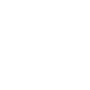 Sanijura logo