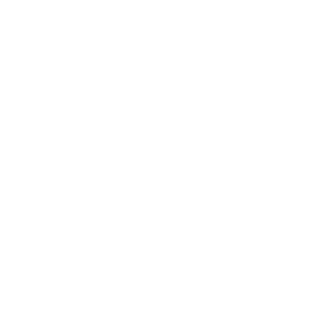 Bosch logo