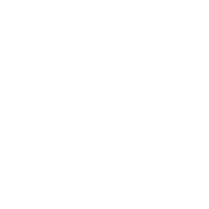 Bulex logo