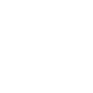 Conel logo