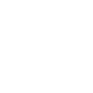 Delabie logo