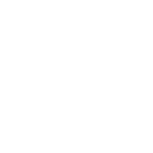 Hansa logo
