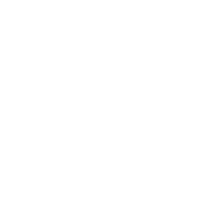 Novellini logo