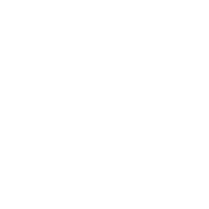 Paffoni logo