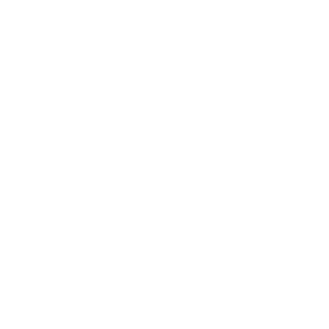 Renson logo