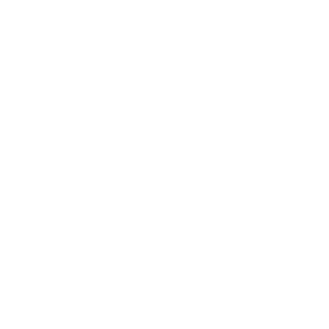 Vasco logo