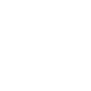 Vigour logo