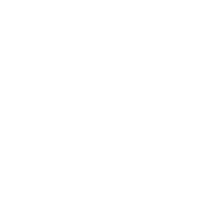 Villeroy & Boch logo