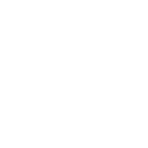 Zehnder logo