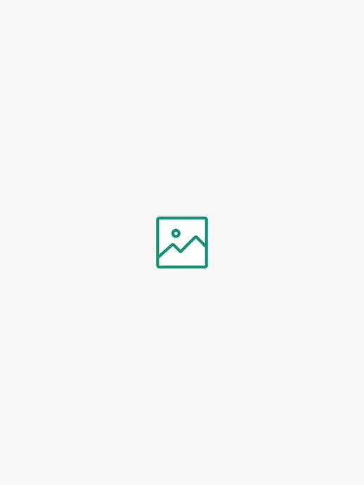 Douche de tête Ixmo 