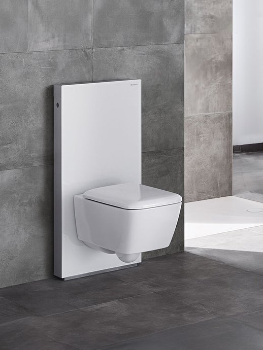 Monolith frame for wall-mounted toilets