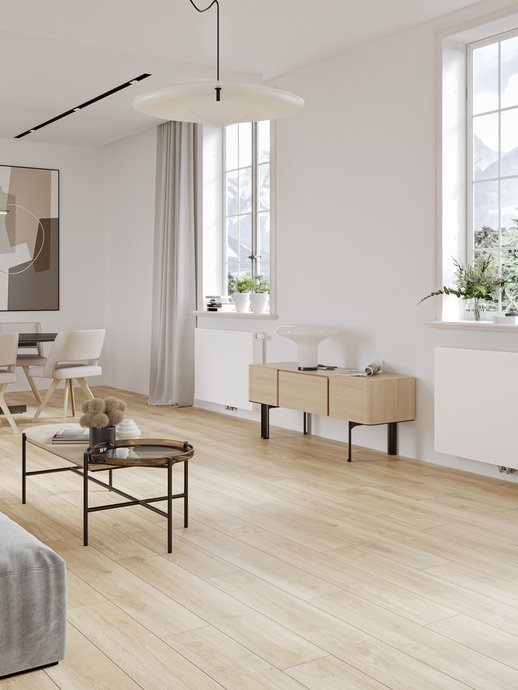 Integra Parada Flex 8c classic radiator