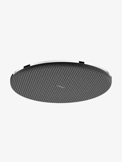 Douche de tête Raindance Alive S 300 1jet