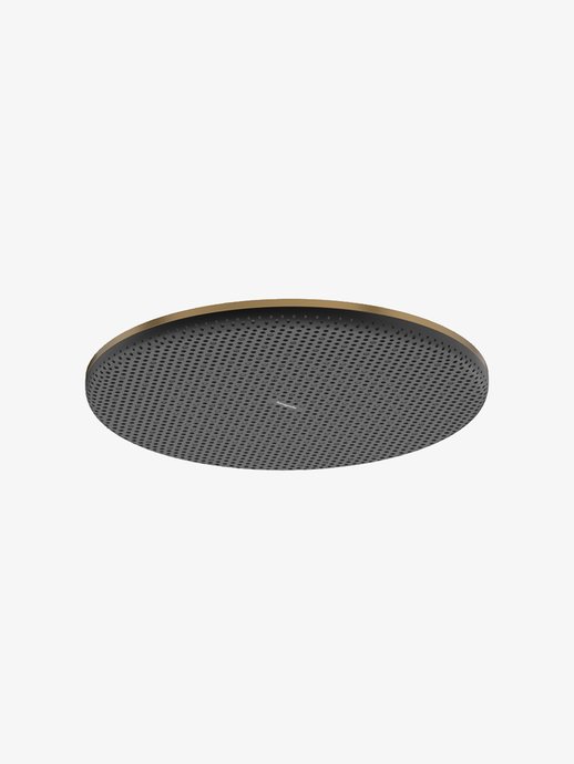 Wall-mounted overhead shower Raindance Alive S 300 1jet