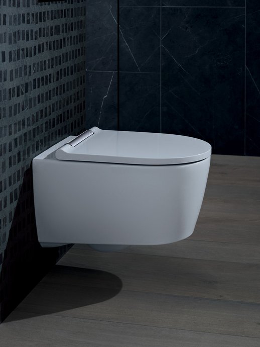 Wall-mounted toilet One